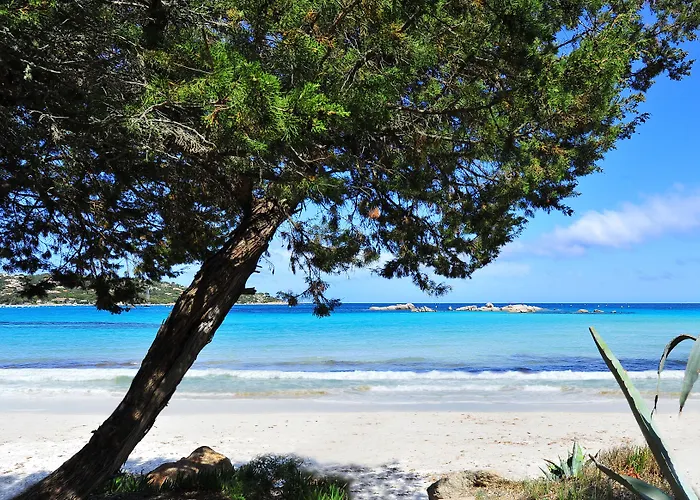 Hotel Castell'Verde 3* Porto-Vecchio (Corsica)